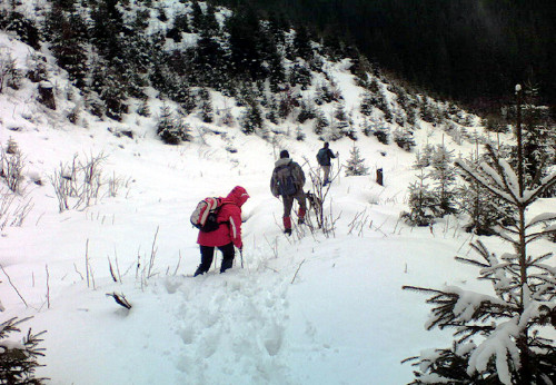 tag5_ha19.jpg