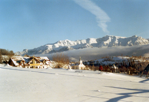 tag7i.jpg