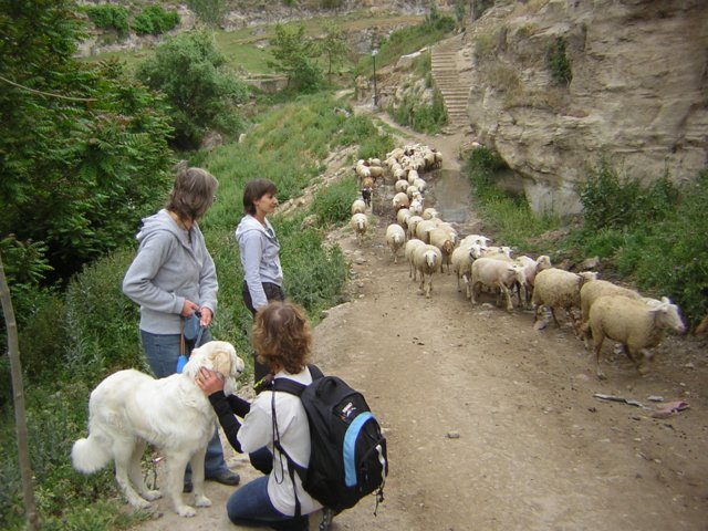 dscn3009.jpg