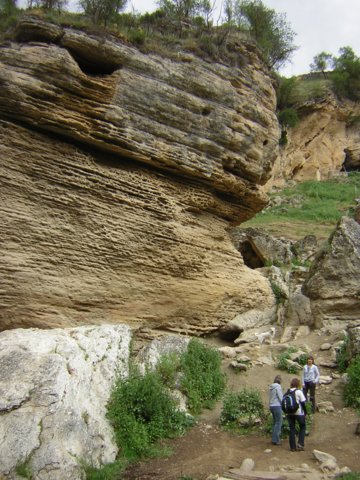 dscn3010.jpg