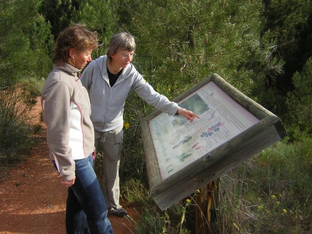 dscn3159.jpg