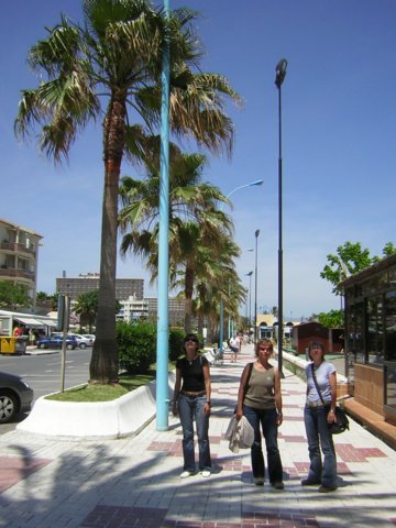 dscn3179.jpg